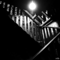 DSC8525