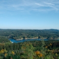 DSC8563