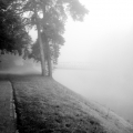 procházka mlhou